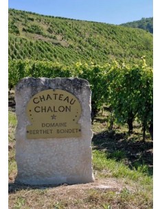 Chateau Chalon Berthet Bondet 2