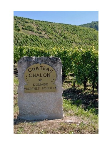 Chateau Chalon Berthet Bondet