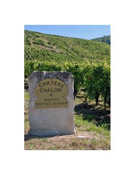 Chateau Chalon Berthet Bondet