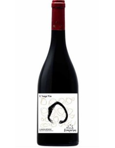 Ange Vin