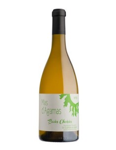 Baies Choisies blanc