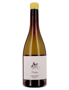 Papillon blanc Torredemer