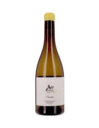 Papillon blanc Torredemer