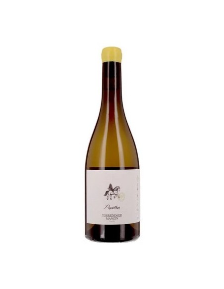 Papillon blanc Torredemer