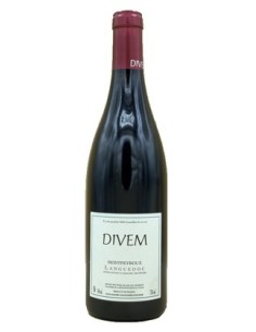 Divem 2022