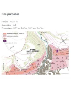 Nuits saint Georges 1er cru Thorey Vougeraie 2
