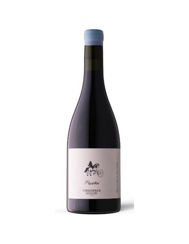 Papillon rouge Torredemer