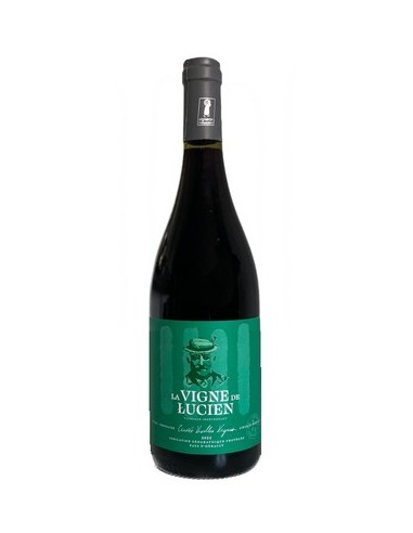 La vigne de Lucien rouge
