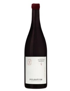 Pulsation Saint Nicolas de Bourgueil