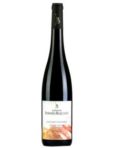 Coteaux calcaires pinot noir