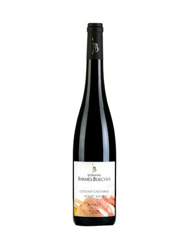 Coteaux calcaires pinot noir