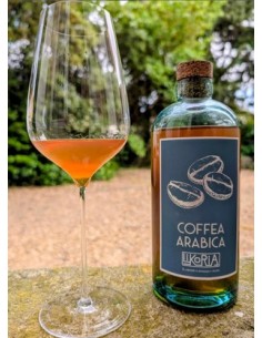 Likoria Coffea Arabica 2